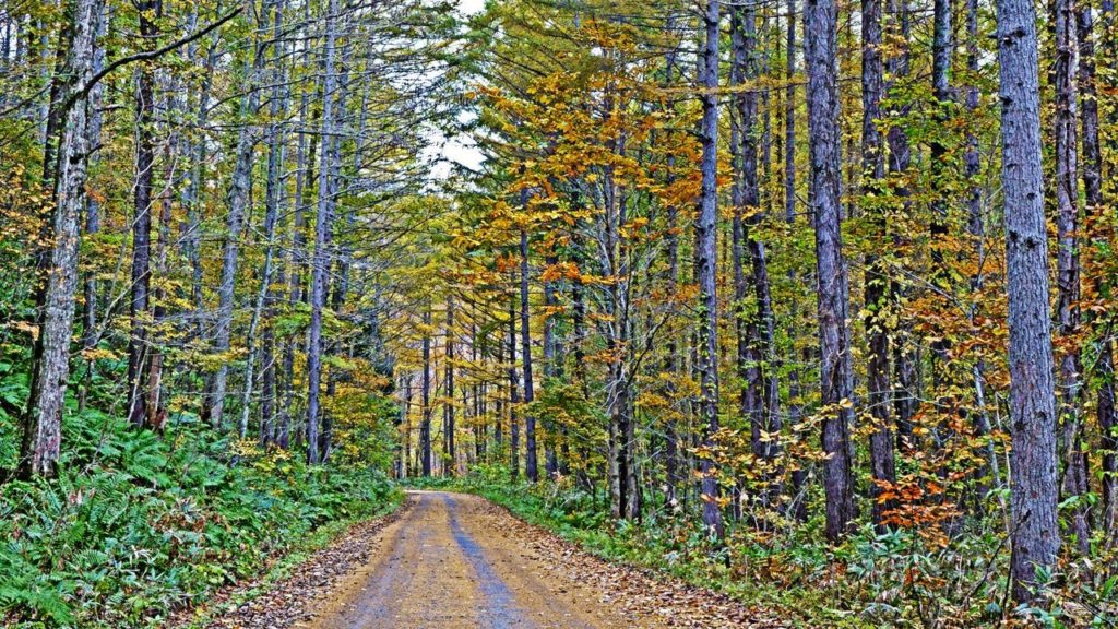 行ってよかった・見てよかった青森県02　Aomori Japan