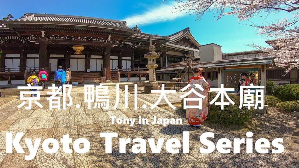 【映像漫步】☆櫻花☆鴨川☆大谷本廟☆京都旅遊 !!! Walking Kyoto, Travel Japan 2019 4K