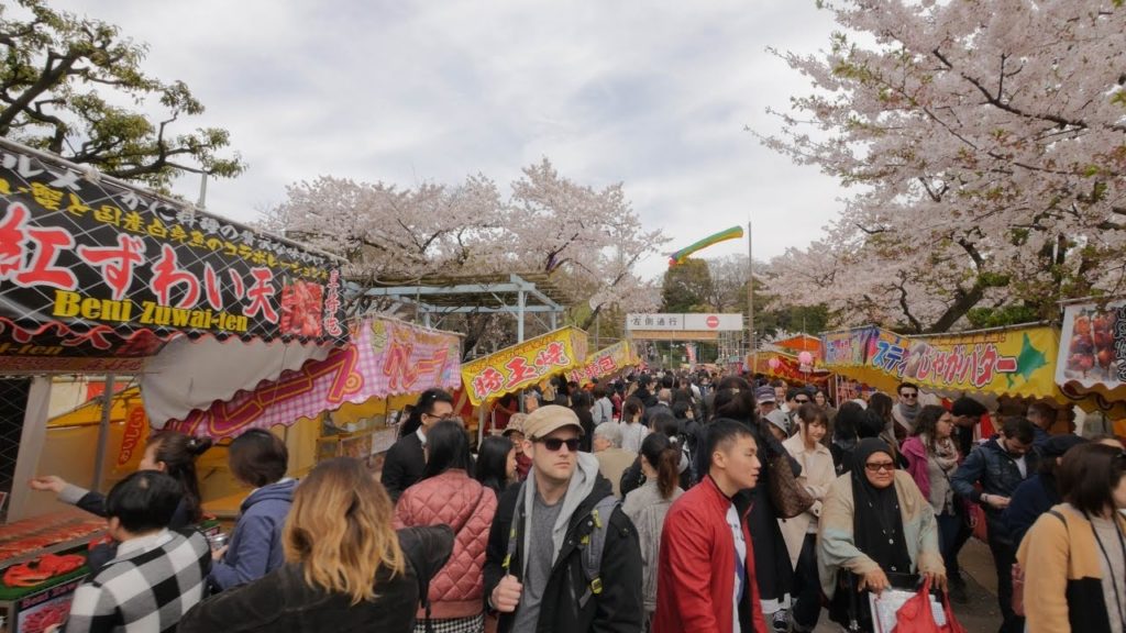 【4K】Videowalk in Ueno Park during sakura blooming