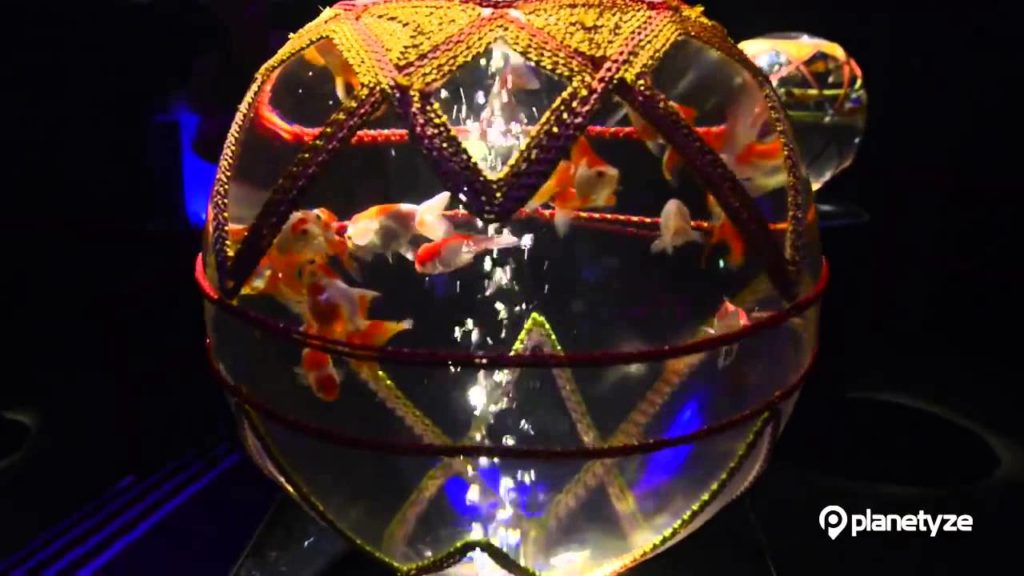 Tokyo Art Aquarium, Tokyo | One Minute Japan Travel Guide Tokyo Art Aquarium, Tokyo | One Minute Japan Travel Guide