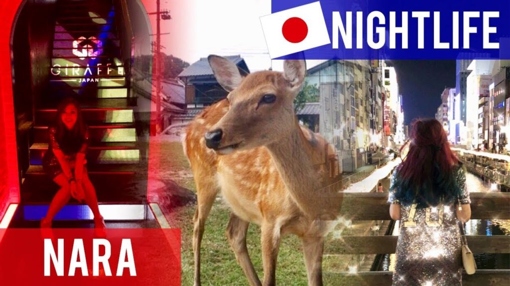 🇯🇵 JAPAN | OSAKA Nightlife / Bar Crawl & NARA Deer Park | FAMILY MART FOOD (Travel Vlog Part 2)