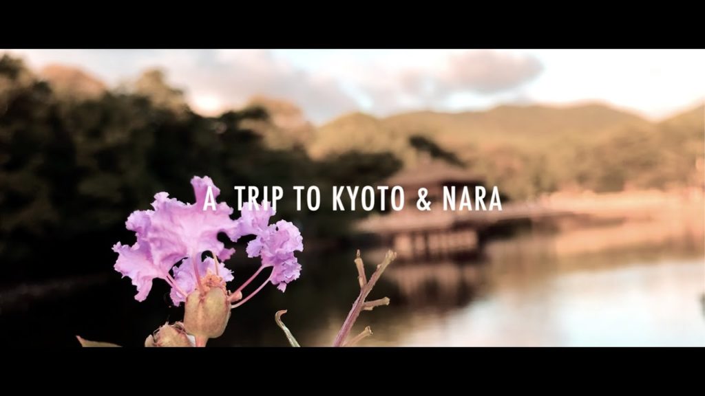 iPhoneXS Cinematic Travel Video - A short trip to Kyoto & Nara