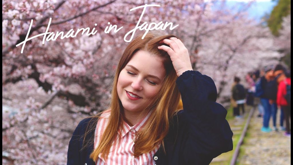 Hanami in Japan  花見