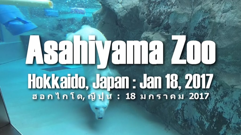 SpeedTravel : Ep.13 Asahiyama Zoo – Asahikawa @ Hokkaido, Japan SpeedTravel : Ep.13 Asahiyama Zoo - Asahikawa @ Hokkaido, Japan
