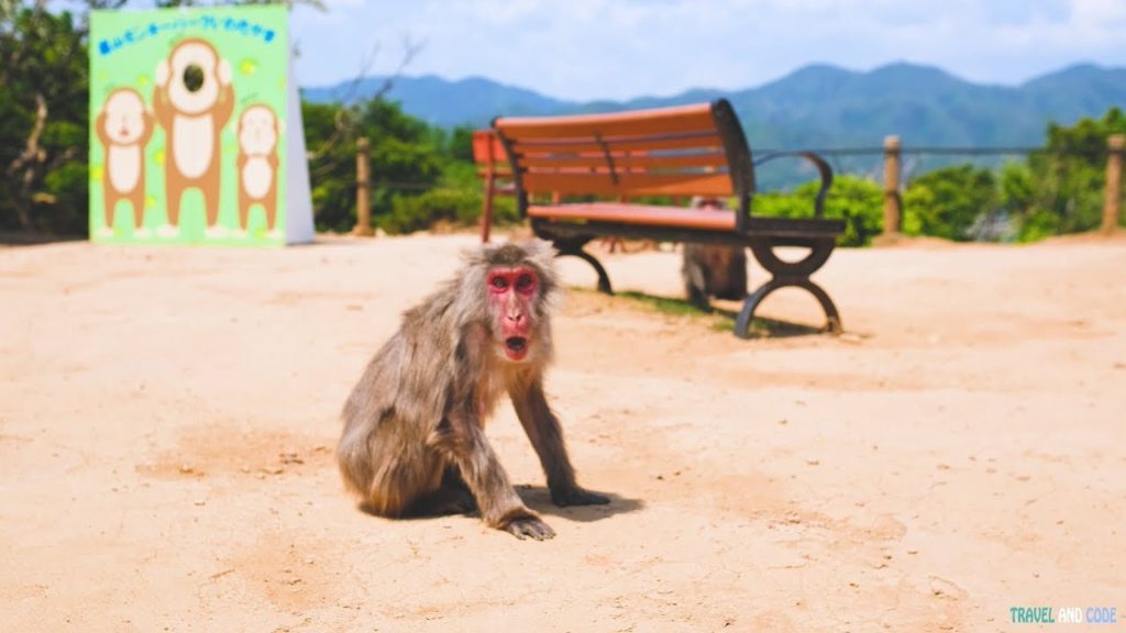 Arashiyama Monkey Park Iwatayama – Kyoto, Japan (Part 1) | Travel Video (4K) Arashiyama Monkey Park Iwatayama - Kyoto, Japan (Part 1) | Travel Video (4K)