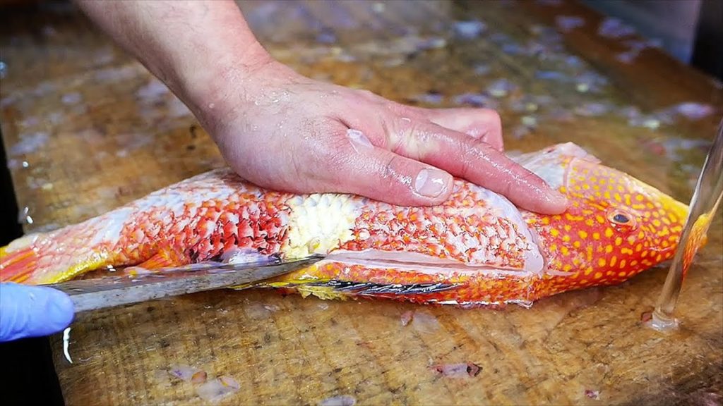 Japanese Street Food - GOLD SPOT WRASSE Sashimi Okinawa Seafood Japan