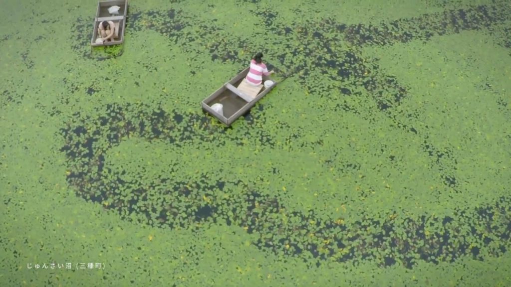 Natural Beauty AKITA -春夏絶景-