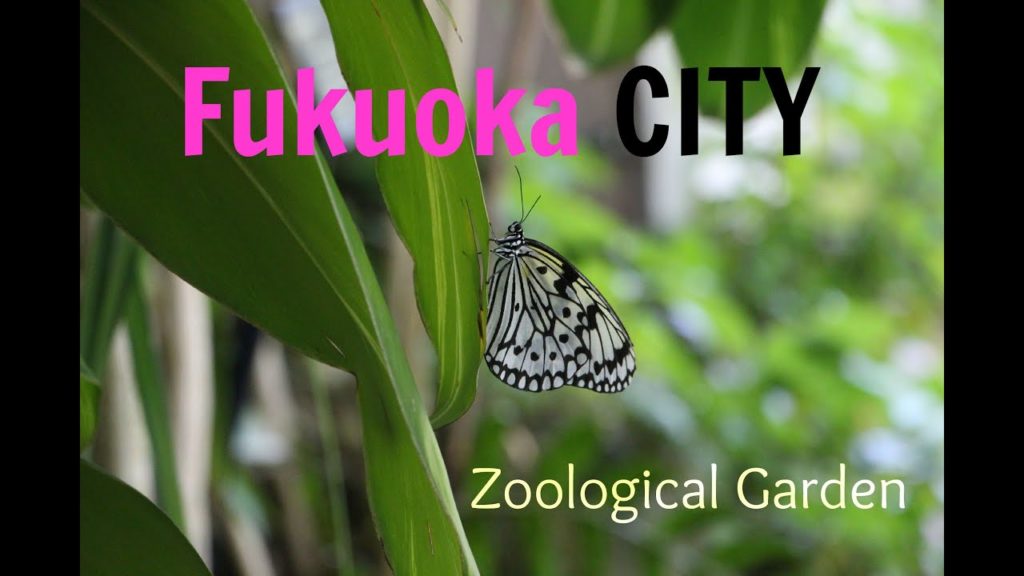 Fukuoka Botanic & Zoological Garden