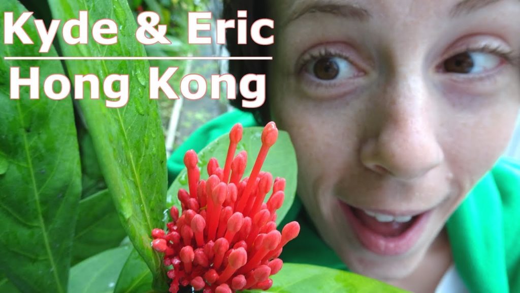 Hong Kong! | Exploring on a Rainy Day!