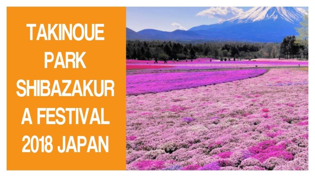 TAKINOUE PARK SHIBAZAKURA FESTIVAL 2018 - JAPAN