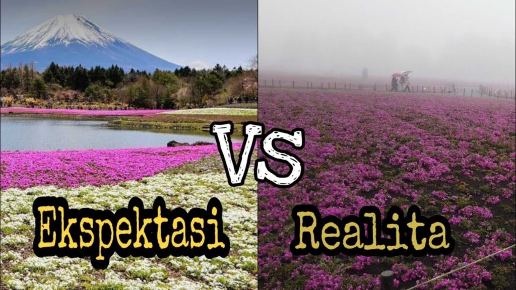 MT. FUJI JAPAN#SHIBA-ZAKURA FESTIVAL#JAPAN TRAVEL VLOG9