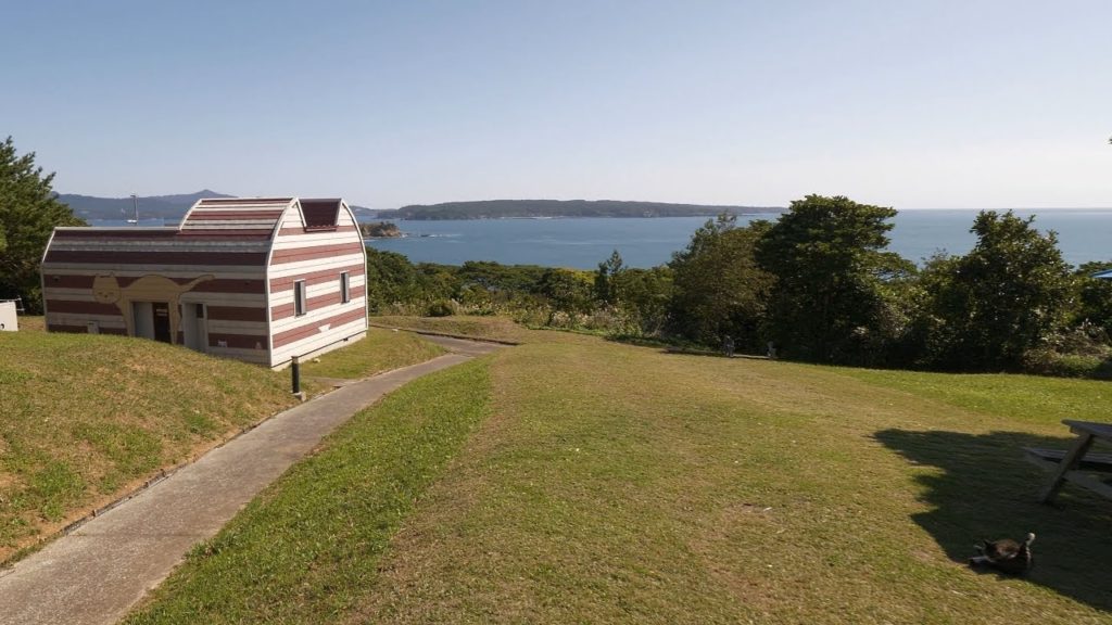 【4K】Walking at cats island - Tashirojima