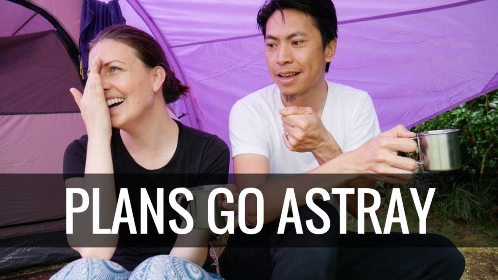 We get robbed by stray cats!