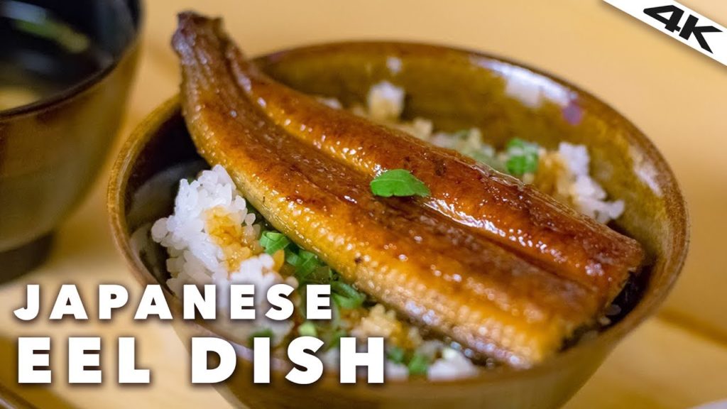 Japanese UNAGI EEL Restaurant in TOKYO | Roppongi, Tokyo [4K]