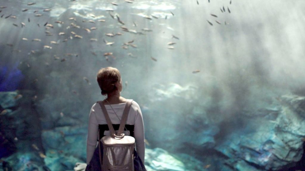 海ノ中道 MARINE WORLD Uminonakamichi 2017 @Fukuoka 海ノ中道 MARINE WORLD Uminonakamichi 2017 @Fukuoka