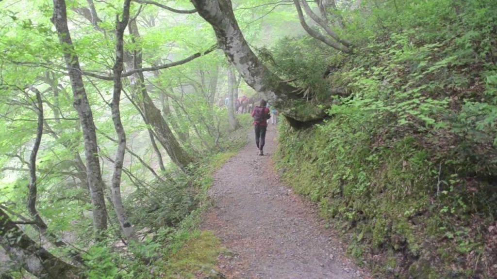 Trial Ecotour - Ecotourism in Tottori