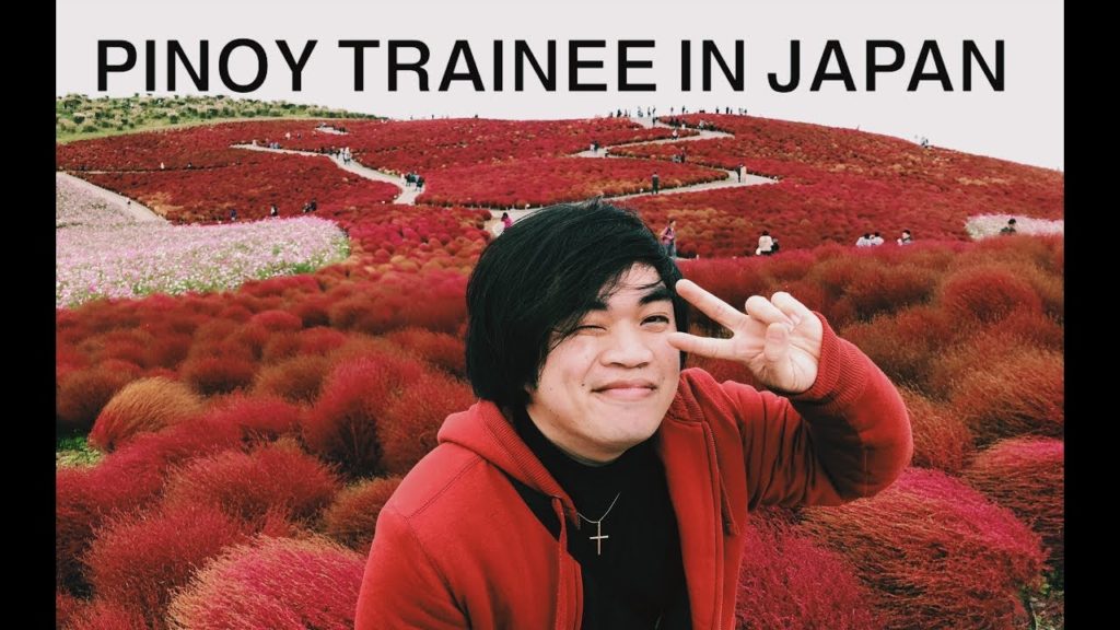 MOST BEAUTIFUL PARK IN IBARAKI JAPAN : HITACHI SEASIDE PARK (KAIHIN KOUEN)