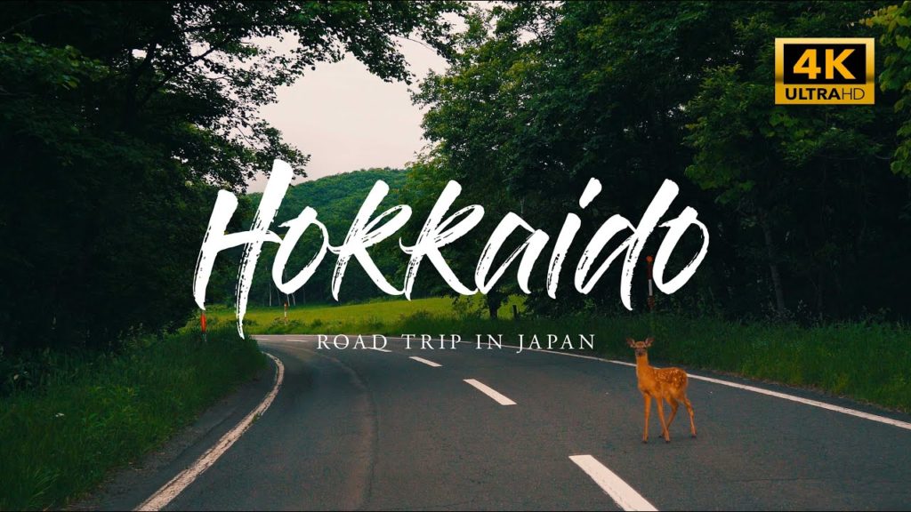 ROAD TRIP in JAPAN | 北海道標茶町〜弟子屈町 [4K UHD] from Shibecha to Teshikaga, Hokkaido 道東の釧路湿原と原野、酪農地帯をドライブ