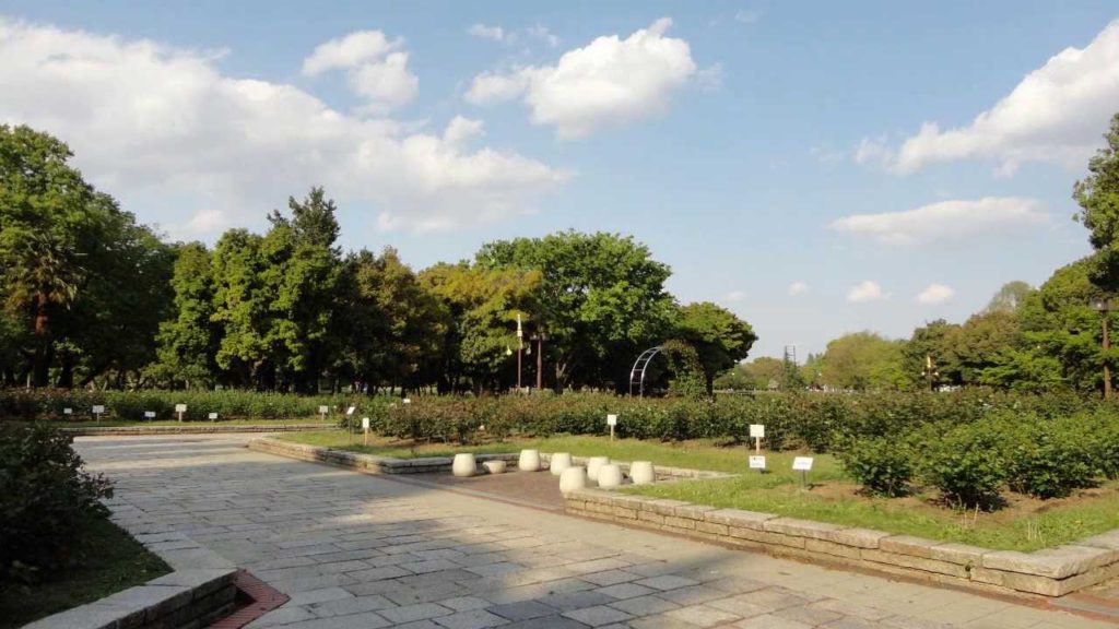 Shonai Ryokuchi Koen – Nagoya Shonai Ryokuchi Koen - Nagoya