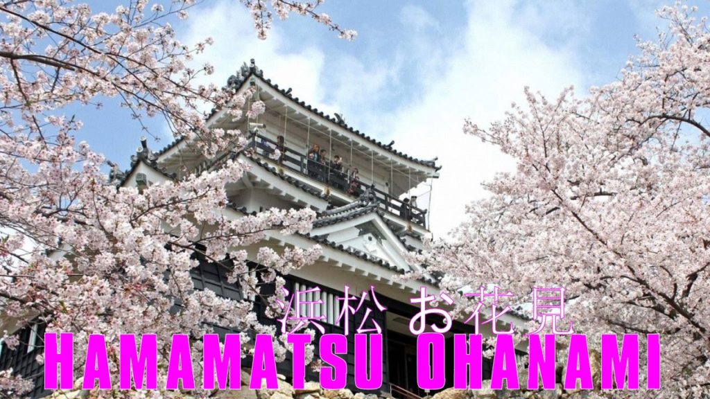 CHERRY BLOSSUMS! 浜松市の花見