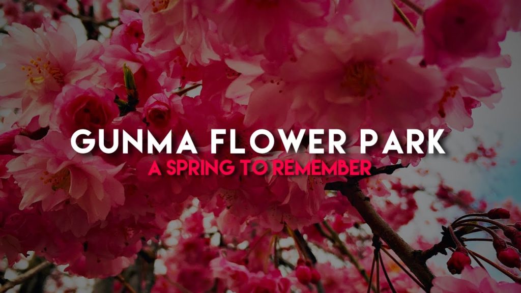 Gunma Flower Park - A Spring To Remember (GUNMA-KEN, JAPAN) - MAC TRAVELS #3