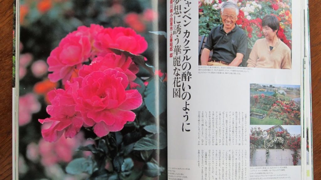 A beautiful rose garden in Japan 日本で美しいバラ園 A beautiful rose garden in Japan 日本で美しいバラ園