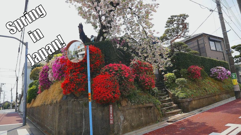 A Nice Spring Day in a Japanese Town
