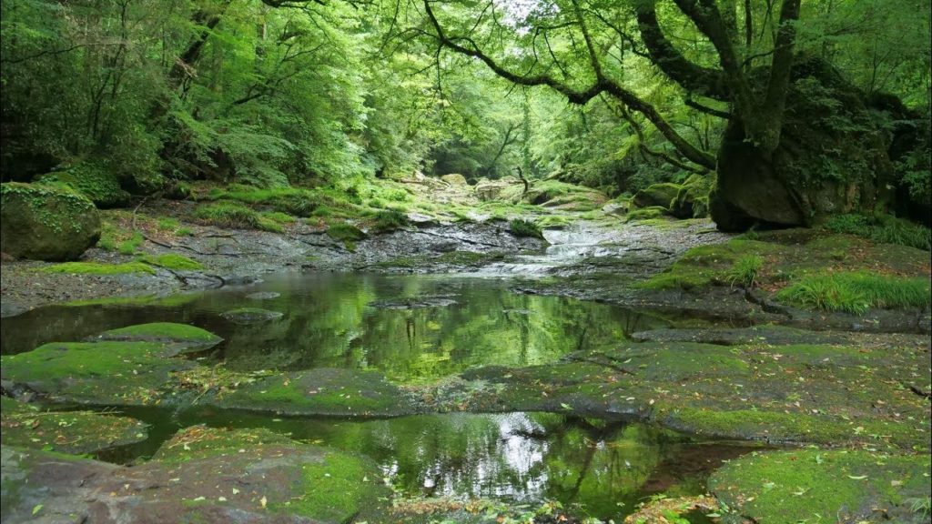JG☆☆☆ 4K HDR 熊本 菊池渓谷の初夏 Kumamoto,Kikuchi Gorge in Summer