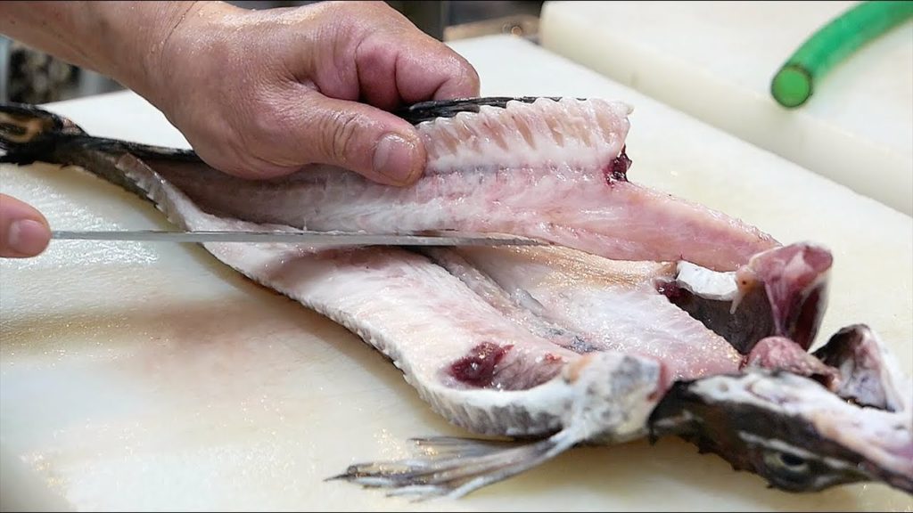 Japanese Street Food - ALLIGATOR FISH Sailfin Poacher Tempura Sashimi Japan Seafood