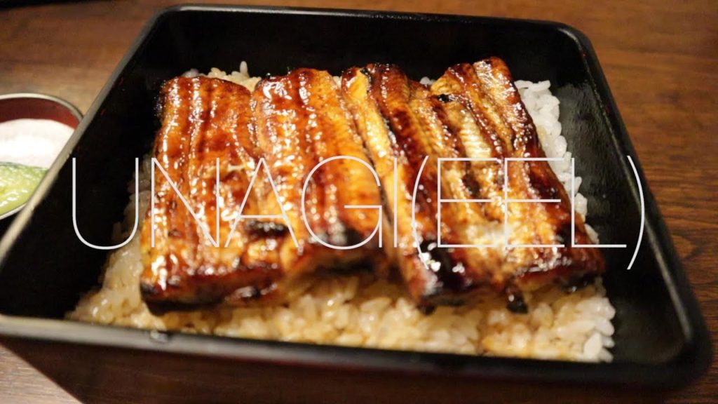 The best Unagi (EEL) restaurant In Narita, Japan. I will show you around Naritasan Shinshoji Temple