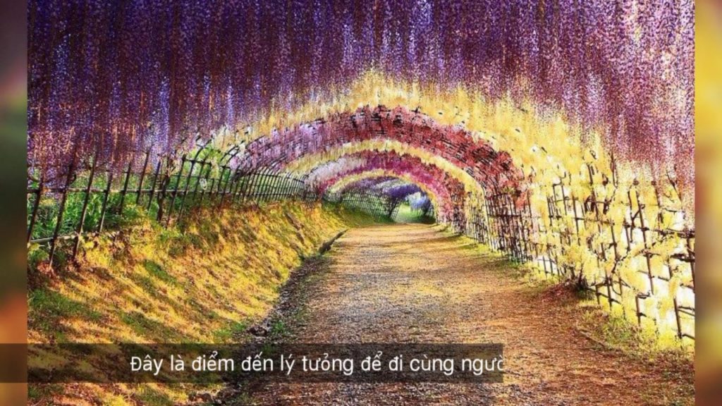 [i-Tabi top 5] Fukuoka