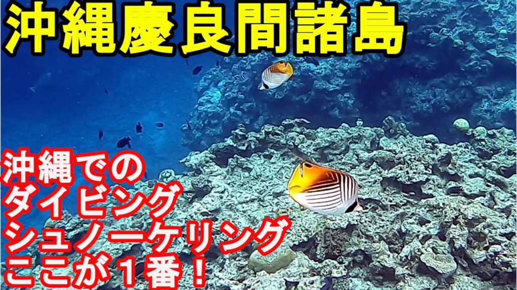【沖縄旅行】 渡嘉敷島シュノーケリング okinawa travel 【沖縄旅行】 渡嘉敷島シュノーケリング okinawa travel