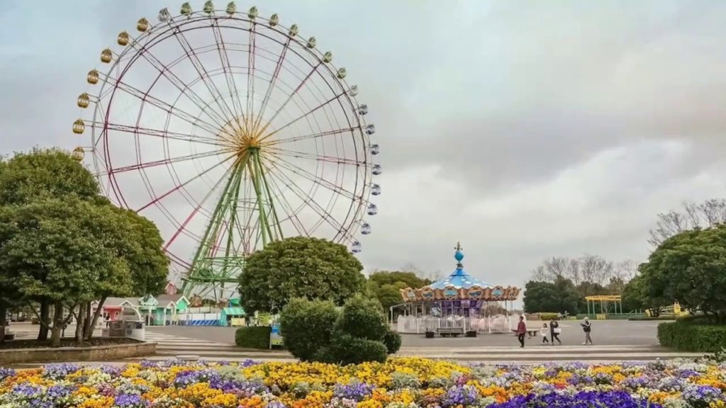 Hitachi Seaside Park and Ashikaga Flower Park from Tokyo