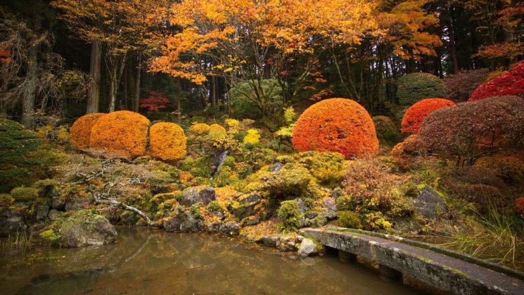 JG 4K 長野 光前寺の紅葉 Kozenji,Nagano