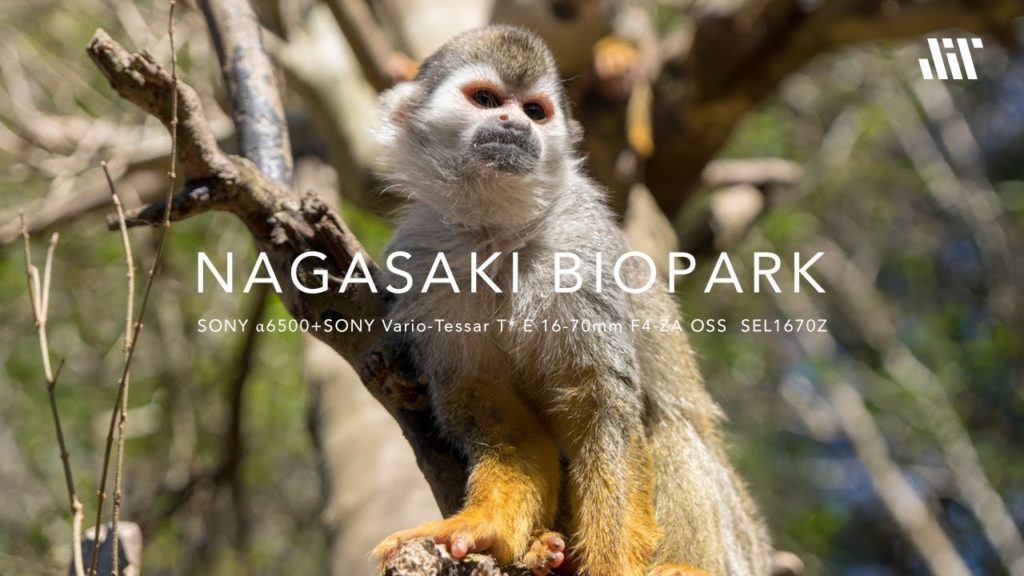 NAGASAKI BIOPARK  Animals Videos - SONY a6500 4K -