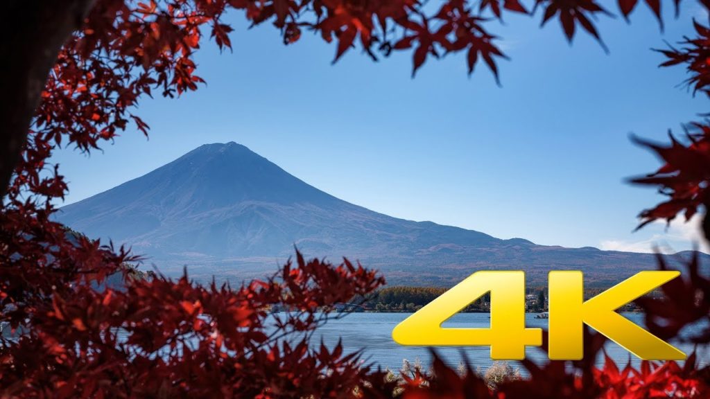 Kawaguchiko Maple Corridor – Yamanashi – もみじ回廊 – 4K Ultra HD Kawaguchiko Maple Corridor - Yamanashi - もみじ回廊 - 4K Ultra HD