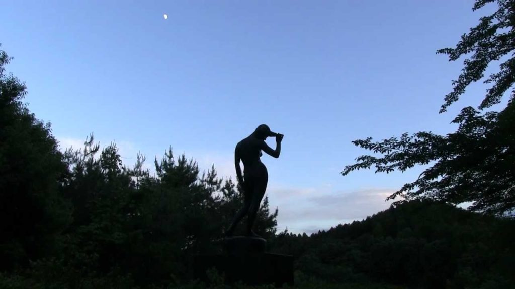 2012.6.29 台原森林公園のホタル Firefly in Sendai 2012.6.29 台原森林公園のホタル Firefly in Sendai