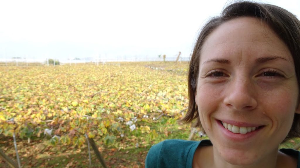 Yamanashi Prefecture | October 23 - 25, 2015 (Part 1 of 2)