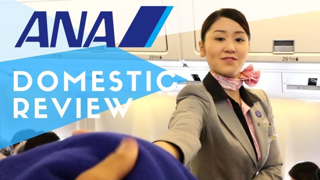 ANA Domestic Flight Review to Tokyo | How Good is it?