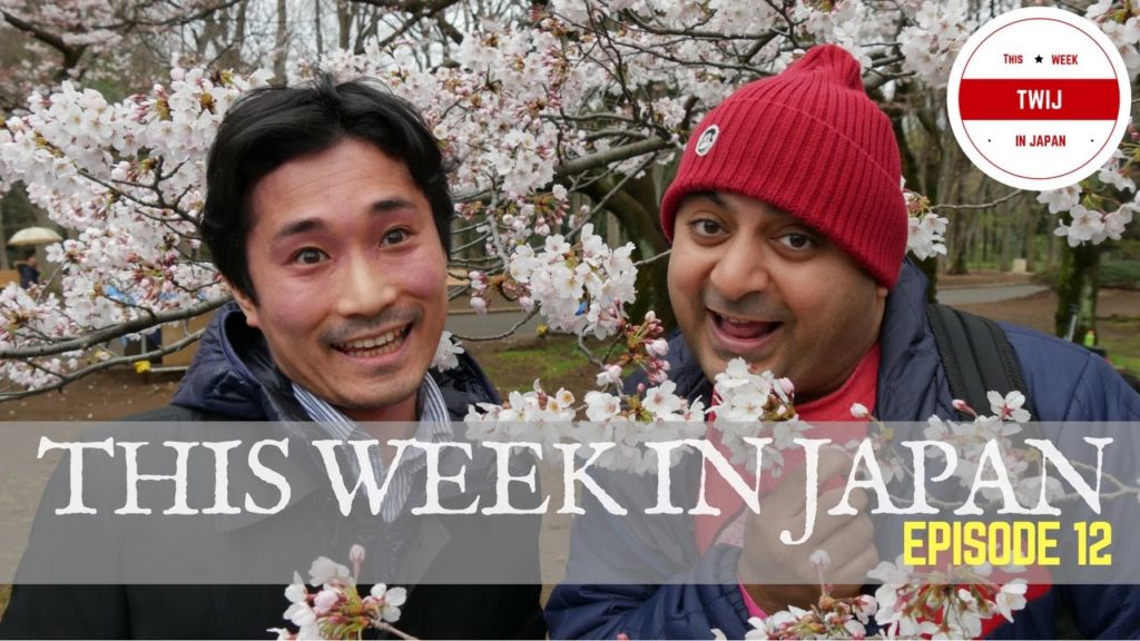 CHERRY BLOSSOM  [Episode 12]