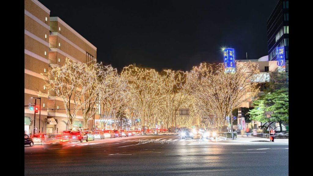 Christmas Lights in Japan 2018年 SENDAI光のページェント 仙台・杜の都のイルミネーション Sendai Pageant of Starlight[8K]