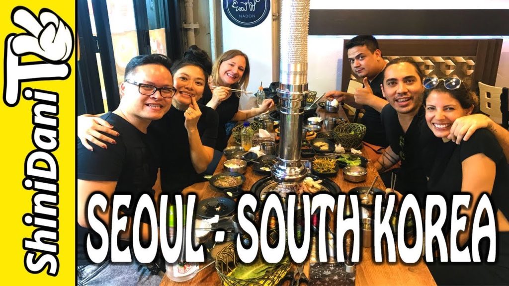 South Korea Travel Vlog Day 1 - Trip from Tokyo to Seoul