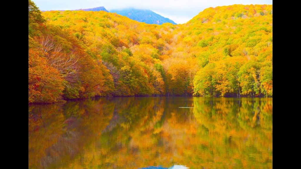 JG☆☆☆☆☆4K HDR 青森 八甲田の紅葉 Aomori,Hakkoda in Autumn