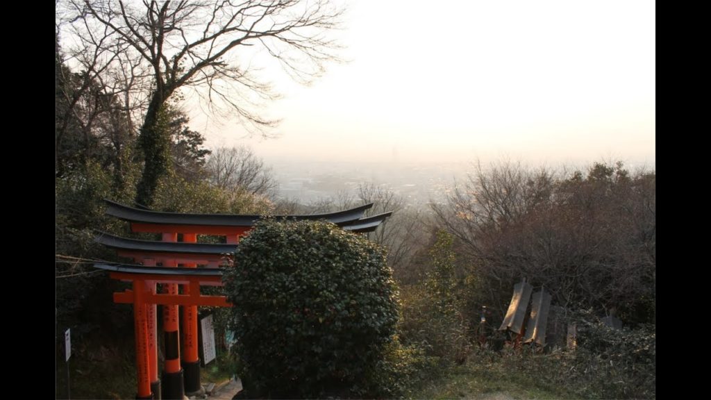 Japan Travel - Fushimi Inari Taisha Shrine, Mountain Top, Cats [Day 6]