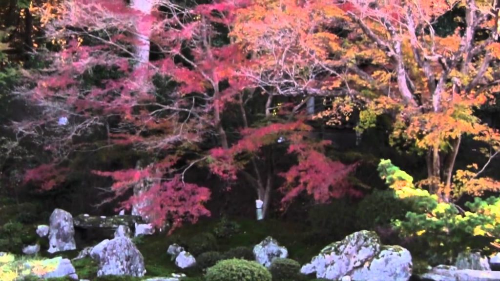 The Gardens of the Manshu-in Shoin!