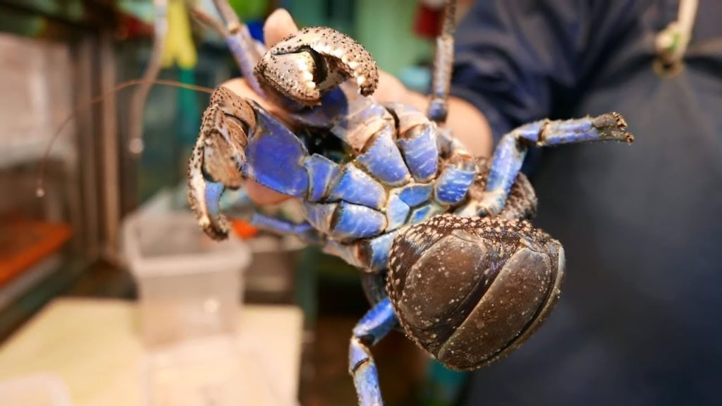 COCONUT CRAB Crab Curry Seafood Okinawa Japan - Japanese Street Food