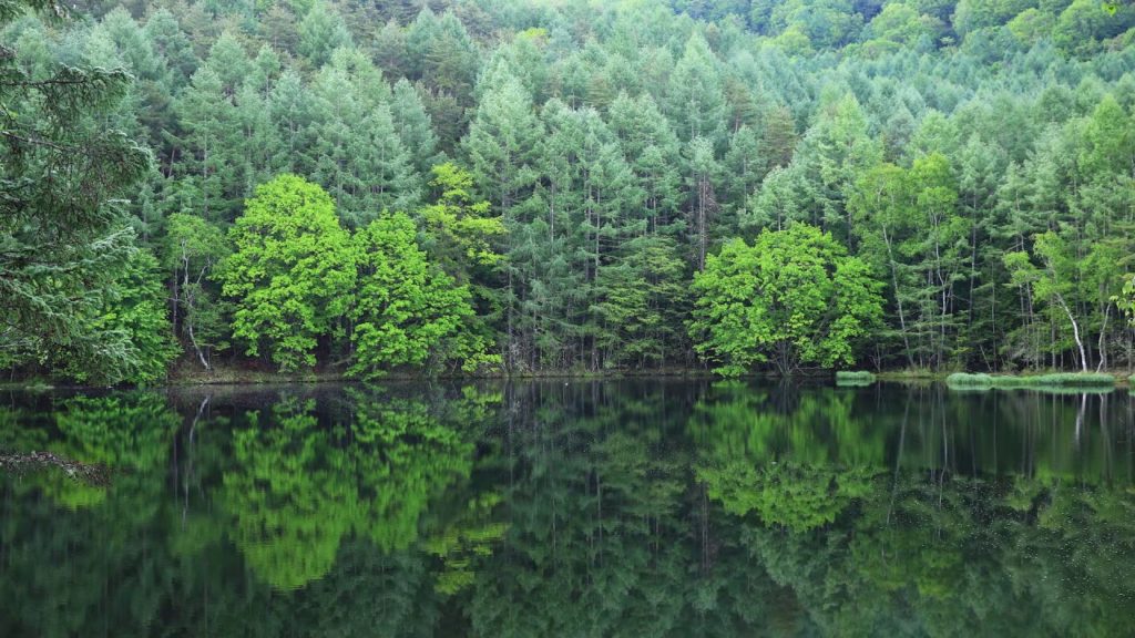 Japan 1 Minute Travel Nagano Okutateshina