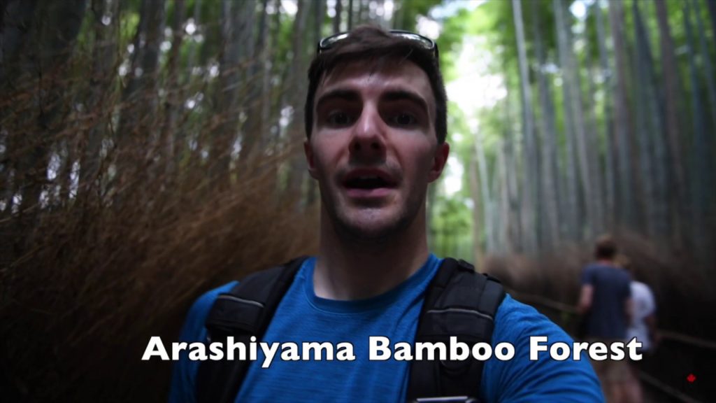 Travel Japan: Tokyo, Kyoto, Nara & more!