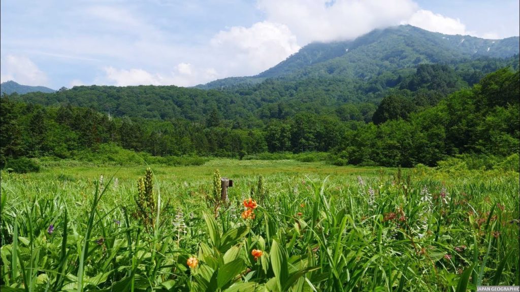 JG HDR 新潟 蓮華温泉 兵馬の平湿原 Niigata,Rengeonsen Hyomanodaira Wetland