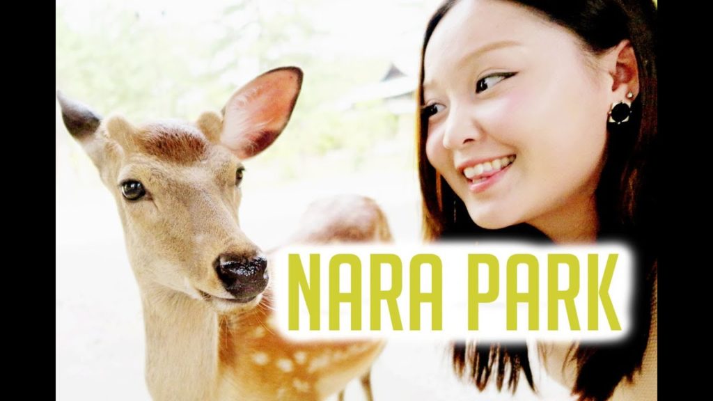 OSAKA, JAPAN TRAVEL VLOG: Nara Park, Osaka Castle, Osaka Aquarium Kaiyukan